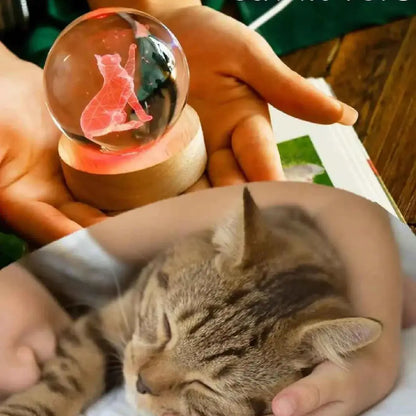 Lampara de Cristal Cat 3D®